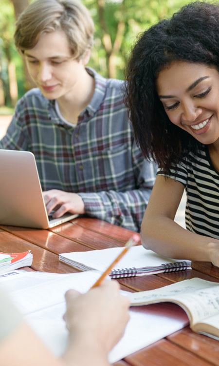 Student Learning Online